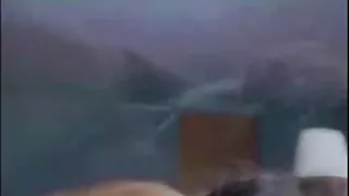 ලිහිල් කොටළුවා කුකුළා මත රෝපණය